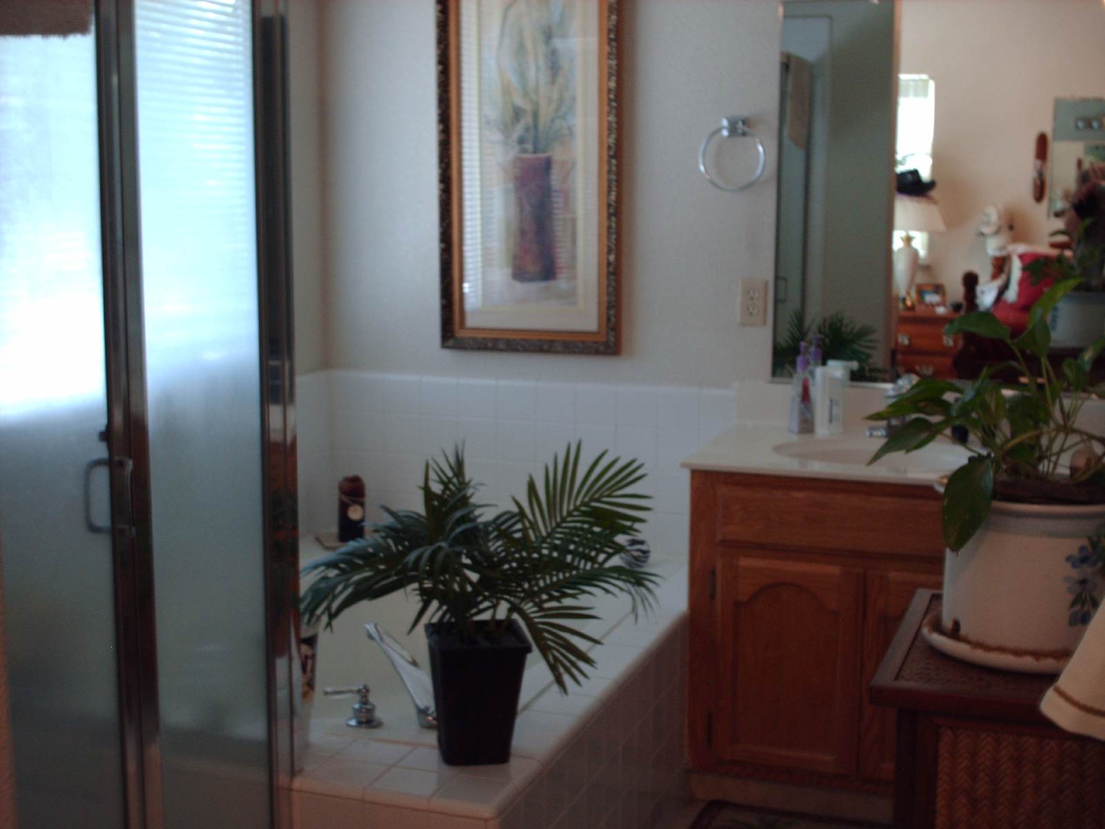Beautiful 4/2 home in Elk Grove-8575 Dianthus Way property image