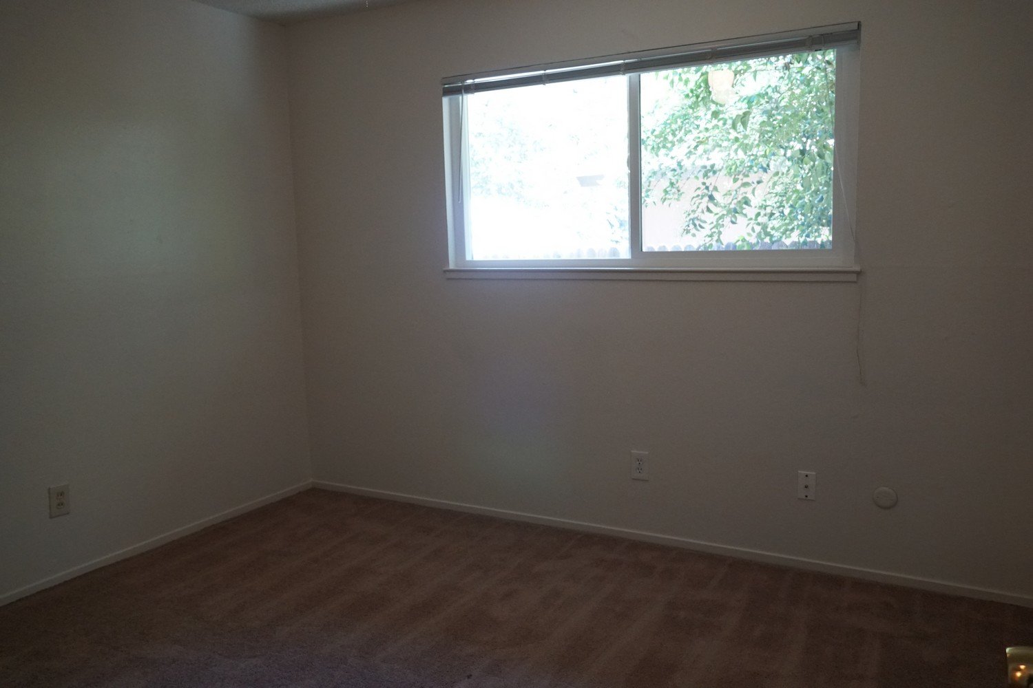 3 bedroom duplex in the wonderful city of Fair Oaks! property image