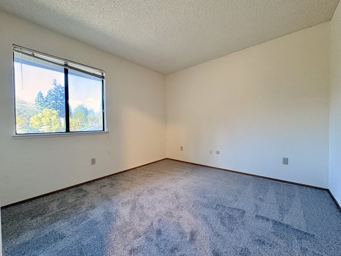 109 Johnston Ct property image